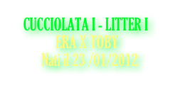    CUCCIOLATA I - LITTER I
              ERA X TOBY
Nati il 23 /01/2012