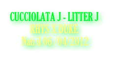 CUCCIOLATA J - LITTER J
          RHYS X DUKE
Nati il 06 /04/2012