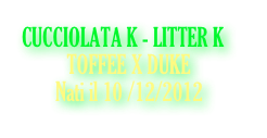 CUCCIOLATA K - LITTER K
          TOFFEE X DUKE
Nati il 10 /12/2012