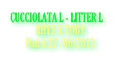 CUCCIOLATA L - LITTER L
            RHYS X TOBY
Nati il 27 /06/2013