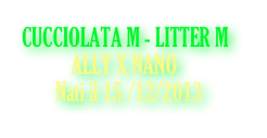 CUCCIOLATA M - LITTER M
           ALLY X NANO
Nati il 15 /12/2013