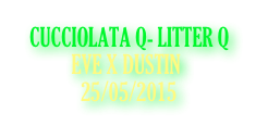 CUCCIOLATA Q- LITTER Q
           EVE X DUSTIN
             25/05/2015