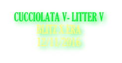 CUCCIOLATA V- LITTER V
             BLITZ X ERA
             12/11/2016