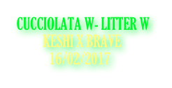 CUCCIOLATA W- LITTER W
          KESHI X BRAVE
            16/02/2017