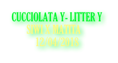 CUCCIOLATA Y- LITTER Y
        SIWI X MATITA
            12/04/2018