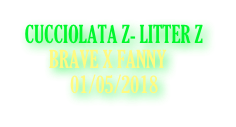 CUCCIOLATA Z- LITTER Z
       BRAVE X FANNY
            01/05/2018