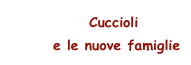       Cuccioli 
       e le nuove famiglie