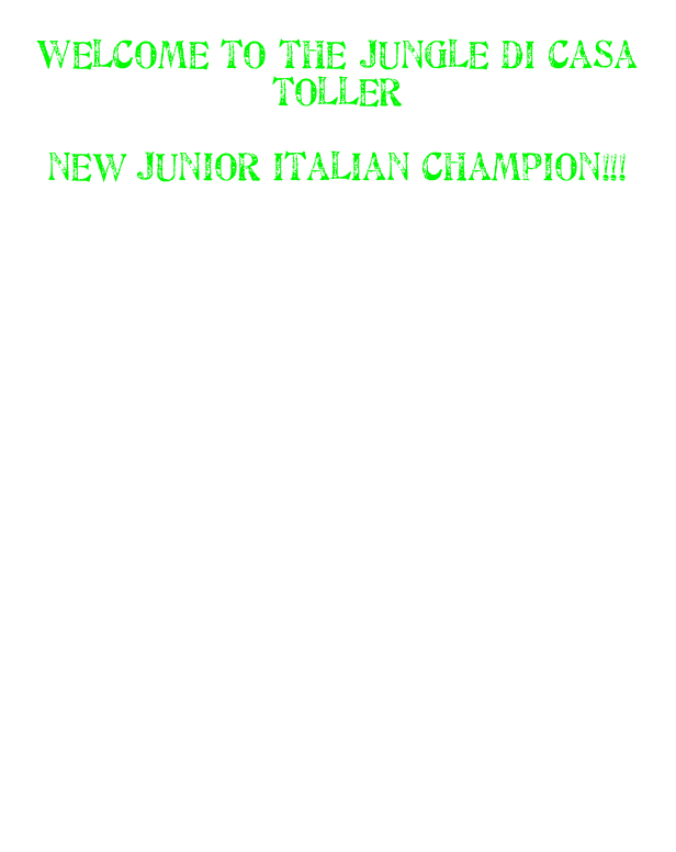                    
Welcome to the jungle di casa toller

new junior italian champion!!!