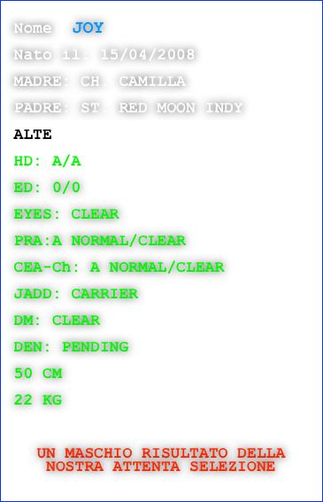  
 Nome: JOY

 Nato il: 15/04/2008

 MADRE: CH. CAMILLA
 
 PADRE: ST. RED MOON INDY

 ALTE
 
 HD: A/A
 
 ED: 0/0

 EYES: CLEAR

 PRA:A NORMAL/CLEAR  

 CEA-Ch: A NORMAL/CLEAR 

 JADD: CARRIER

 DM: CLEAR

 DEN: PENDING

 50 CM
 
 22 KG
 


UN MASCHIO RISULTATO DELLA NOSTRA ATTENTA SELEZIONE

