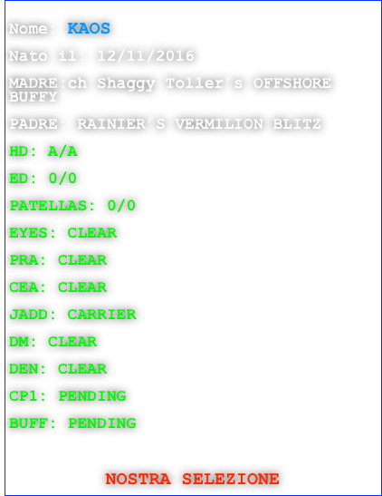 
Nome: KAOS

Nato il: 12/11/2016

MADRE:ch Shaggy Toller’s OFFSHORE BUFFY

PADRE: RAINIER’S VERMILION BLITZ

HD: A/A 

ED: 0/0

PATELLAS: 0/0
  
EYES: CLEAR

PRA: CLEAR

CEA: CLEAR

JADD: CARRIER

DM: CLEAR

DEN: CLEAR

CP1: PENDING

BUFF: PENDING

 

NOSTRA SELEZIONE