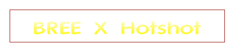 BREE X Hotshot